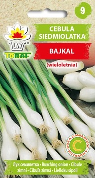 CEBULA SIEDMIOLATKA BAJKAL NASIONA WARZYW WIELOLETNIA MROZOODPORNA 3G