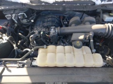 Ford 2021 Ford F150 XL 2021 3.3 Benzyna 290KM, zdjęcie 8