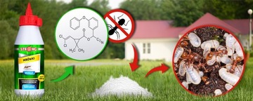 SILNA TRUCIZNA NA MRÓWKI, LIKWIDUJE GNIAZDA PROSZEK NA MRÓWKI STRONG 150G