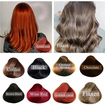 1 шт., шампунь-краска для волос с экстрактом имбиря, легко наносится