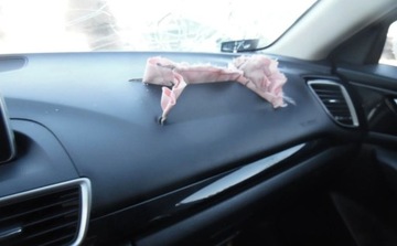 Mazda 3 III Sedan 2.0 SKYACTIV-G 120KM 2014 Mazda 3 2014r, Salonowy, 2.0 Benzyna. Uszkodzony prawy przod. 2.0 Benzyna, zdjęcie 18