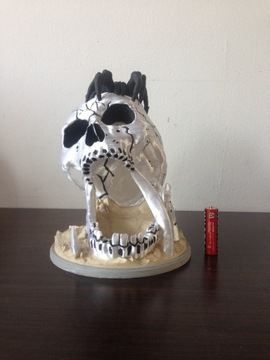 Череп - Башня игральных костей - Башня игральных костей