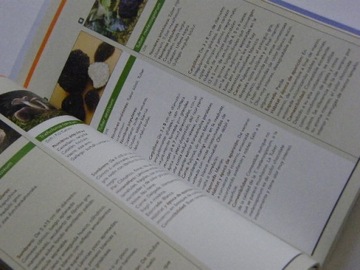 AS SETAS EN ARAGON ITINERARIOS MICOLOGICOS