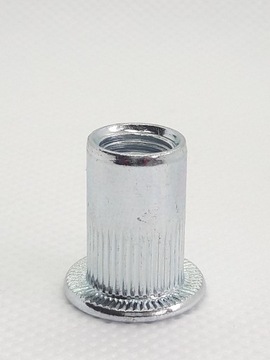 ЗАКЛЕПКА СТАЛЬНАЯ M10 - 50 ШТ.