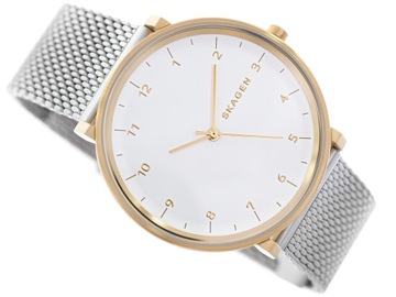 MĘSKI ZEGAREK SKAGEN SKW6170 HALD KLASYCZNY MESH