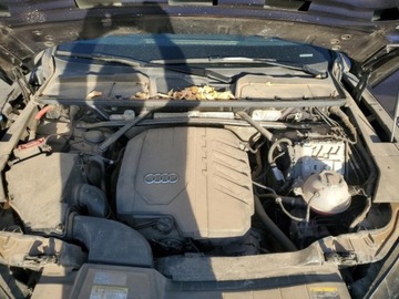 Audi Q5 II 2021 Audi Q5 2021r., Premium Plus, od ubezpieczalni 2.0 Benzyna 261KM, zdjęcie 11