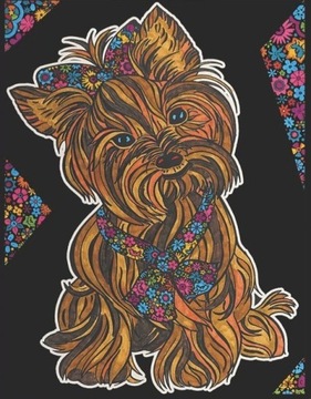 Kolorowanka Welw. 29,7x21 Yorkshire Terrier