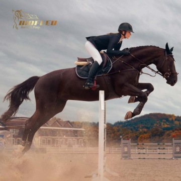 BIOFEED HORSE & PONY Корм ​​для гиперактивных лошадей без КБД и овса 20 кг