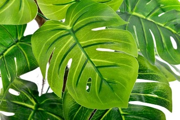 МОНСТЕРА РОДОДЕНДРОН ИСКУССТВЕННЫЕ ЦВЕТЫ ЦВЕТОЧНЫЙ ГОРШОК КОМПОЗИЦИЯ ЛИСТЬЯ ПОДАРОК