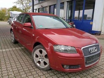 Audi A3 8P Hatchback 3d 1.6 FSI 115KM 2007 Audi A3 Sportback 1.6 benzyna CLIMATRONIC PIEKNY kolor bez rdzy 1.6 115KM, zdjęcie 26