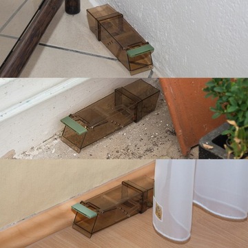 ЛОВУШКА ДЛЯ КРЫС ГУМАНИТАРНАЯ ЛОВУШКА | ЭФФЕКТИВНО |