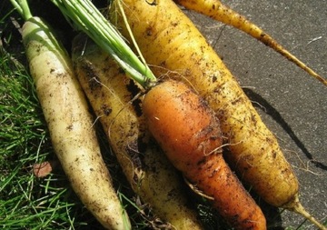 УНИВЕРСАЛЬНАЯ ПОЧВА 25 шт. x 65 л УДОБРЕНИЯ Поддон