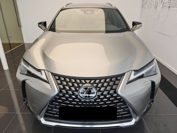 Lexus UX Crossover Facelifting 2.0 300h 199KM 2025 Od ręki - 300h Business 2.0 Hybrid Dynamic Force 199KM | Podgrzewane fotele, zdjęcie 1