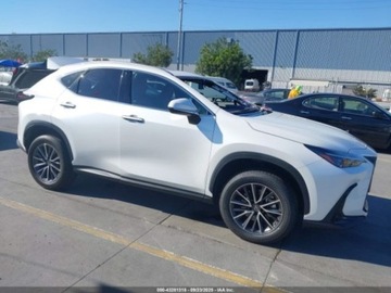 Lexus NX II 2022 Lexus NX 2022 LEXUS NX 350H 2.5 Hybryda 189KM, zdjęcie 1