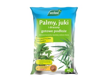 WESTLAND ZIEMIA Z SERAMIS NAWOZEM JUK PALM DRACEN