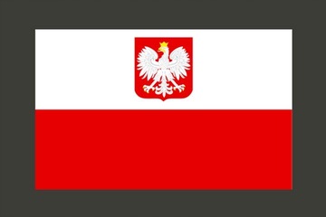 NAKLEJKA FLAGA POLSKI Godło TIR