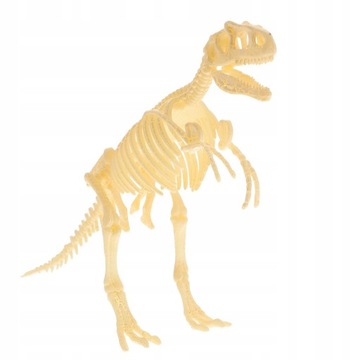 Model szkieletu dinozaura kości zwierząt