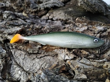 SEWRO CUSTOM UKLEJA zielona 16cm kopyto