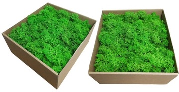 Финский светло-зеленый олений мох 200г мульча для декора