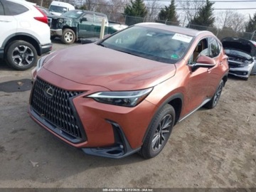 Lexus NX II 2025 Lexus NX 350 Premium 2025 2.4 Benzyna 275KM, zdjęcie 1