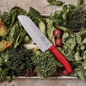 Кухонный гарнитур Victorinox из 4 предметов Красный