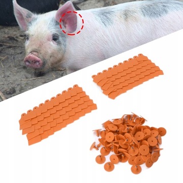 100 комплектов пластиковых идентификационных меток для домашних животных