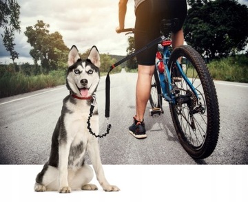 ПОВОДОК, РОЛИК, ВЕЛОСИПЕДНАЯ СТРЕЛКА ДЛЯ СОБАК, Сильные велосипедные прогулки