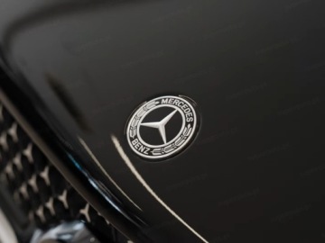 Mercedes GLE V167 SUV Facelifting 2.0 300d 269KM 2025 MERCEDES-BENZ GLE 300 d 4-Matic AMG Line 2.0 (269KM) 2025, zdjęcie 5