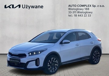 Kia XCeed Crossover Facelifting 1.5 T-GDi 160KM 2023 Kia XCeed Zakup Zdalny KIA XCEED 1.5 T-GDI 160KM Business Line 1.5 160KM