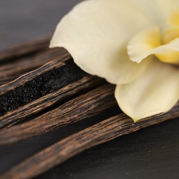 Yodeyma Perfumy Damskie AMIRA 15ml