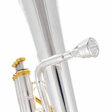 Альтовый саксгорн Thomann AH-704GP