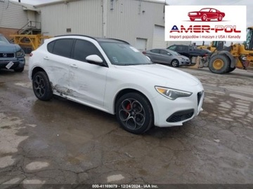 Alfa Romeo Stelvio SUV Facelifting 2.0 Turbo 280KM 2020 Alfa Romeo Stelvio 2020r., 4x4, 2.0L 2.0 Benzyna 280KM