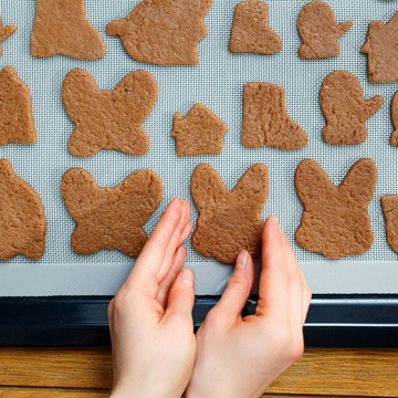 КОВРИКИ ДЛЯ СУШКИ ФРУКТОВ EXCALIBUR ДЕГИДРАТОРНЫЕ КОВРИКИ ДЛЯ ПИЩЕВЫХ КОВРИКОВ