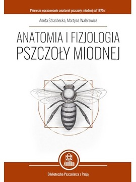 Anatomia i fizjologia pszczoły miodnej