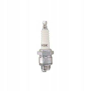 SWIECA ZAPLONOWA NGK 4838
