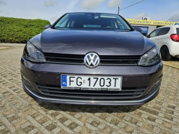 Volkswagen Golf VII Hatchback 3d 1.4 TSI BlueMotion Technology 125KM 2015 Volkswagen Golf 1,4 benzyna 125KM Lounge kamera, zdjęcie 12