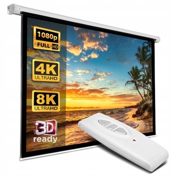 Электрический проекционный экран 240x180 120 4:3 16:9