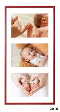 ГАЛЕРЕЯ 3 фото 15Х23 РАМА Паспарту ТЮЛЬПАН К