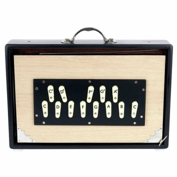 Pudełko Surpeti Shruti Thomann Nataraj Surpeti Shruti Box Fem 3