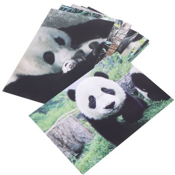 10 ЧАСТЕЙ ОТКРЫТКИ С МИЛЫМИ ПАНДАМИ ОТКРЫТКА СЕРИИ ФОТОГРАФИЙ ЖИВОТНЫХ