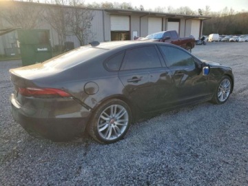 Jaguar XF II 2023 Jaguar XF SE 2023 2.0 Benzyna 246KM, zdjęcie 3