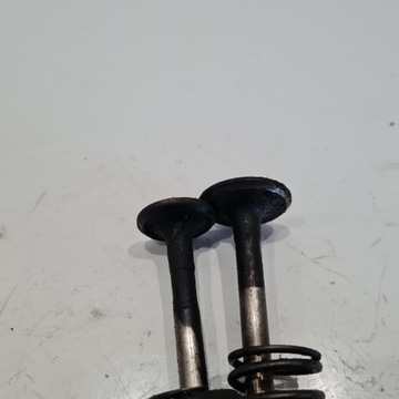 КОМПЛЕКТ ВПУСКНЫХ ВЫПУСКНЫХ КЛАПАНОВ TECUMSEH VANTAGE 35