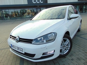 Volkswagen Golf VII Hatchback 3d 1.6 TDI BlueMotion 110KM 2015 VW GOLF 7 1.6 TDI 110 PS NAVI ALU TEMPOMAT KLIMATRONIC GRZANE FOTELE, zdjęcie 3