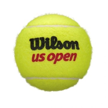 Теннисные мячи Wilson US Open (4 шт.)