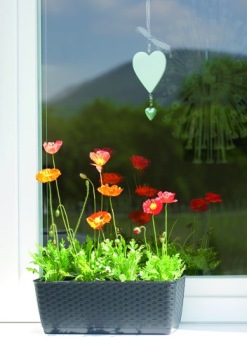 БАЛКОННЫЙ ЦВЕТОЧНЫЙ ГОРШОК ДЛЯ САДА НА ПОДОКОННИКЕ АНТРАЦИТОВЫЙ 30СМ