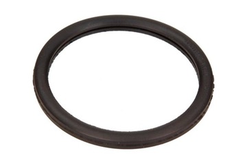 EPS USZCZELKA TERMOSTATU RENAULT MEGANE 1,4 16V 00-