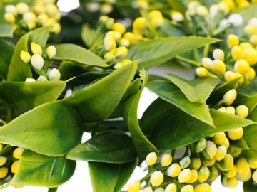 WIANEK RUSKUS GĘSTY LIŚCIE NA STÓŁ DRZWI ŚWIECĘ BOHO MINI KULKI 22cm