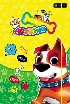 TECZKA Z GUMKĄ A4 NA DOKUMENTY ASTRA ASTRINO