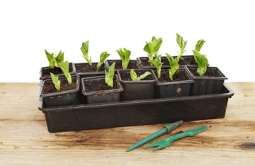 НАБОР САДОВОГО ИНСТРУМЕНТА ДЛЯ ПОСАДКИ РАСТЕНИЙ 54 шт.