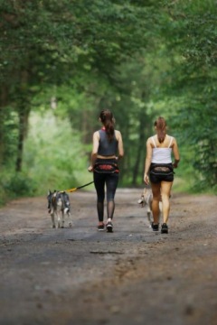 КОМФОРТНЫЙ НАбедренный ремень Caniccross с 3-мя полюсами